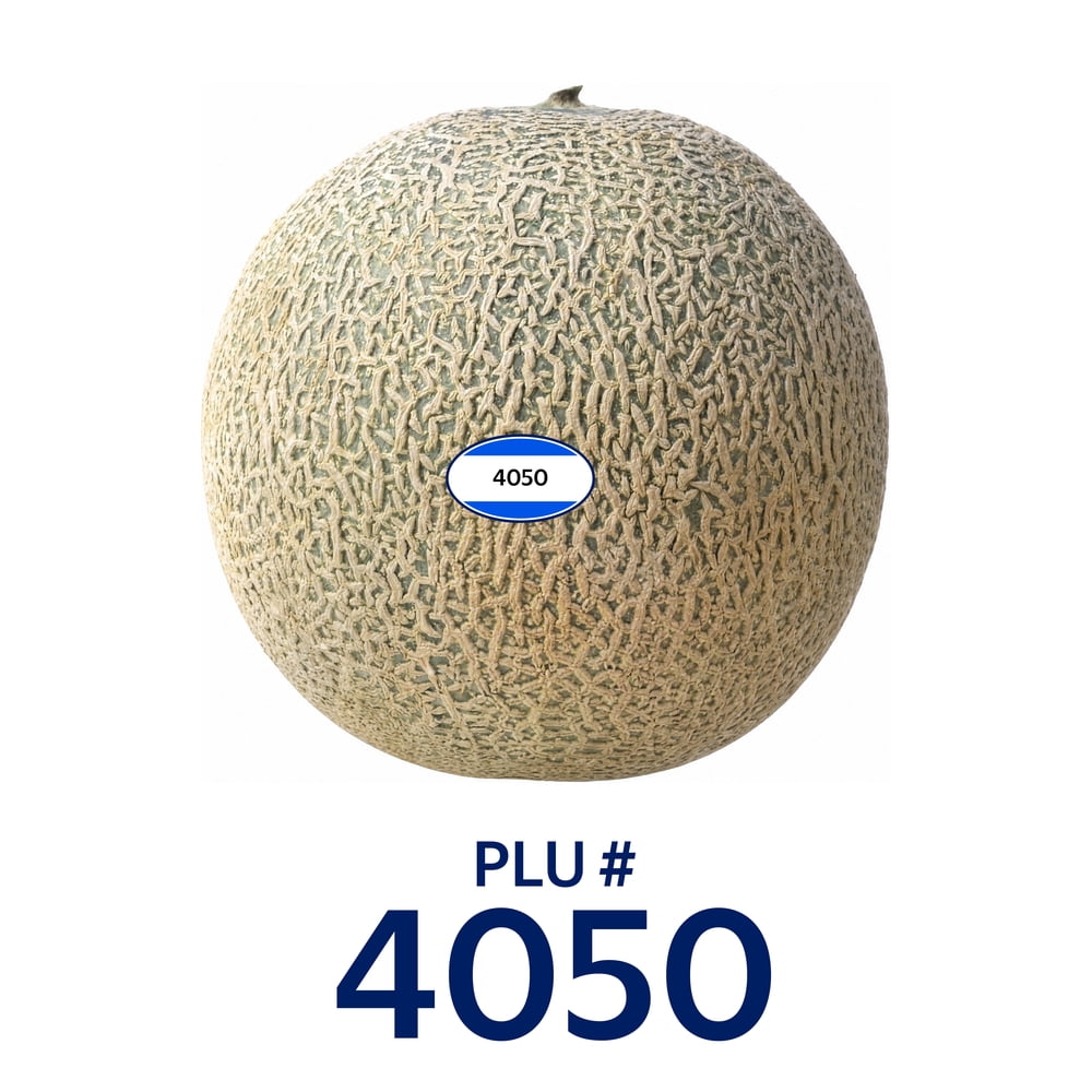 Fresh Cantaloupe, Each