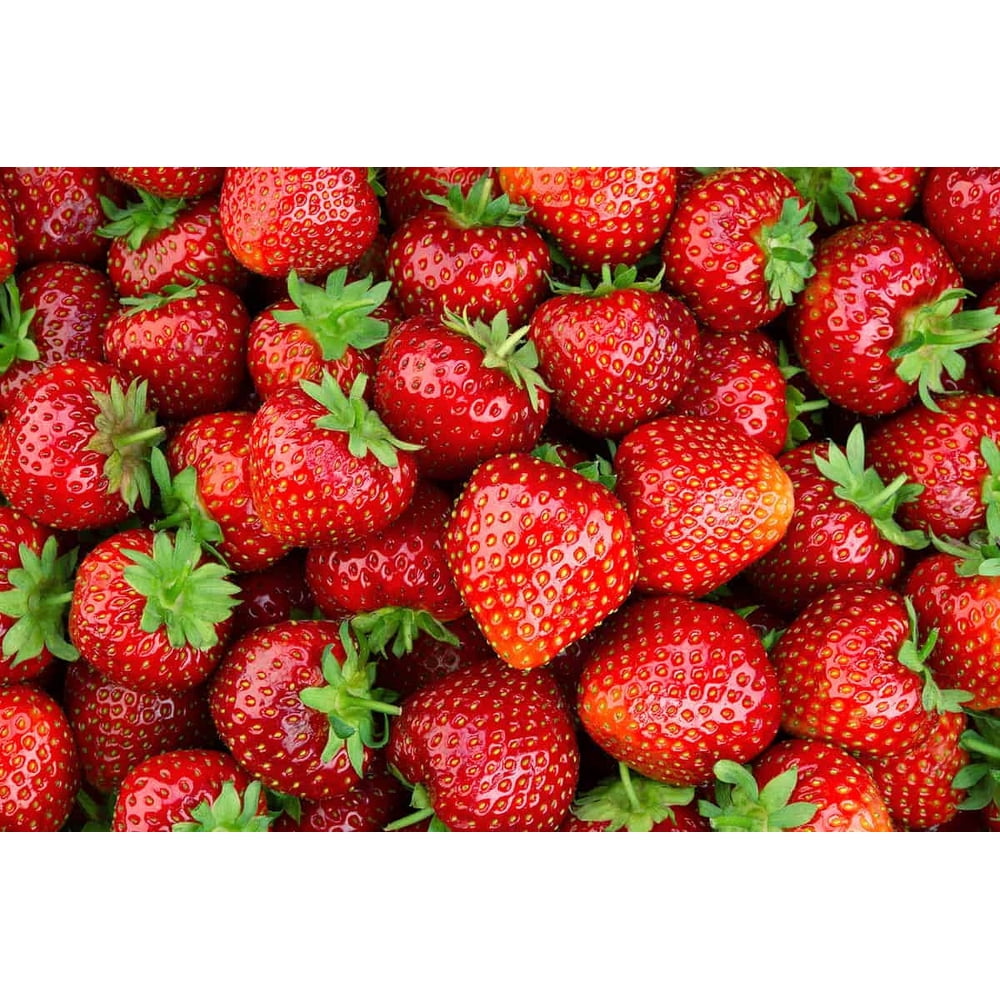 Fresh Strawberries, 1 lb Container